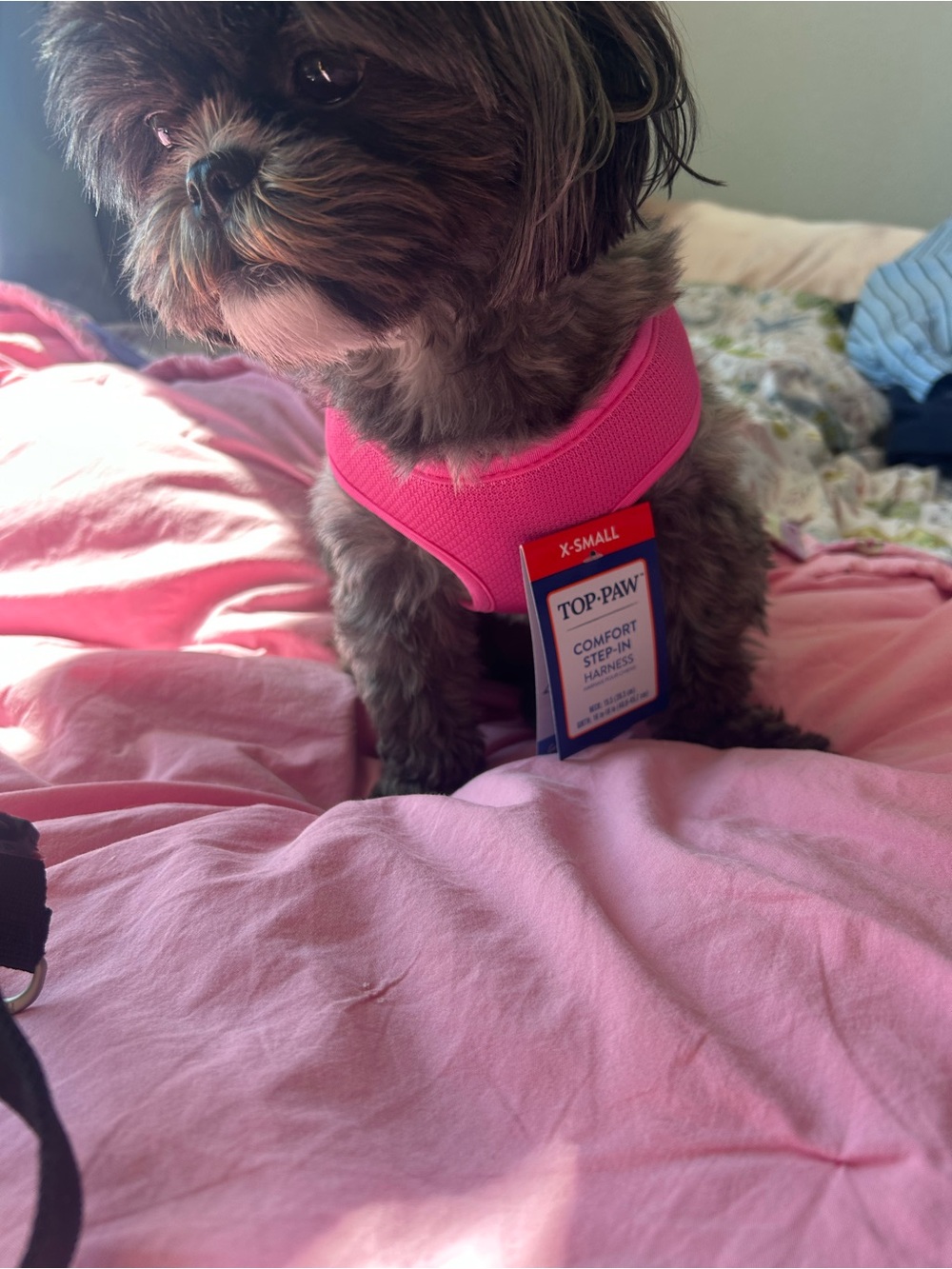 Comfort Step-In Harness